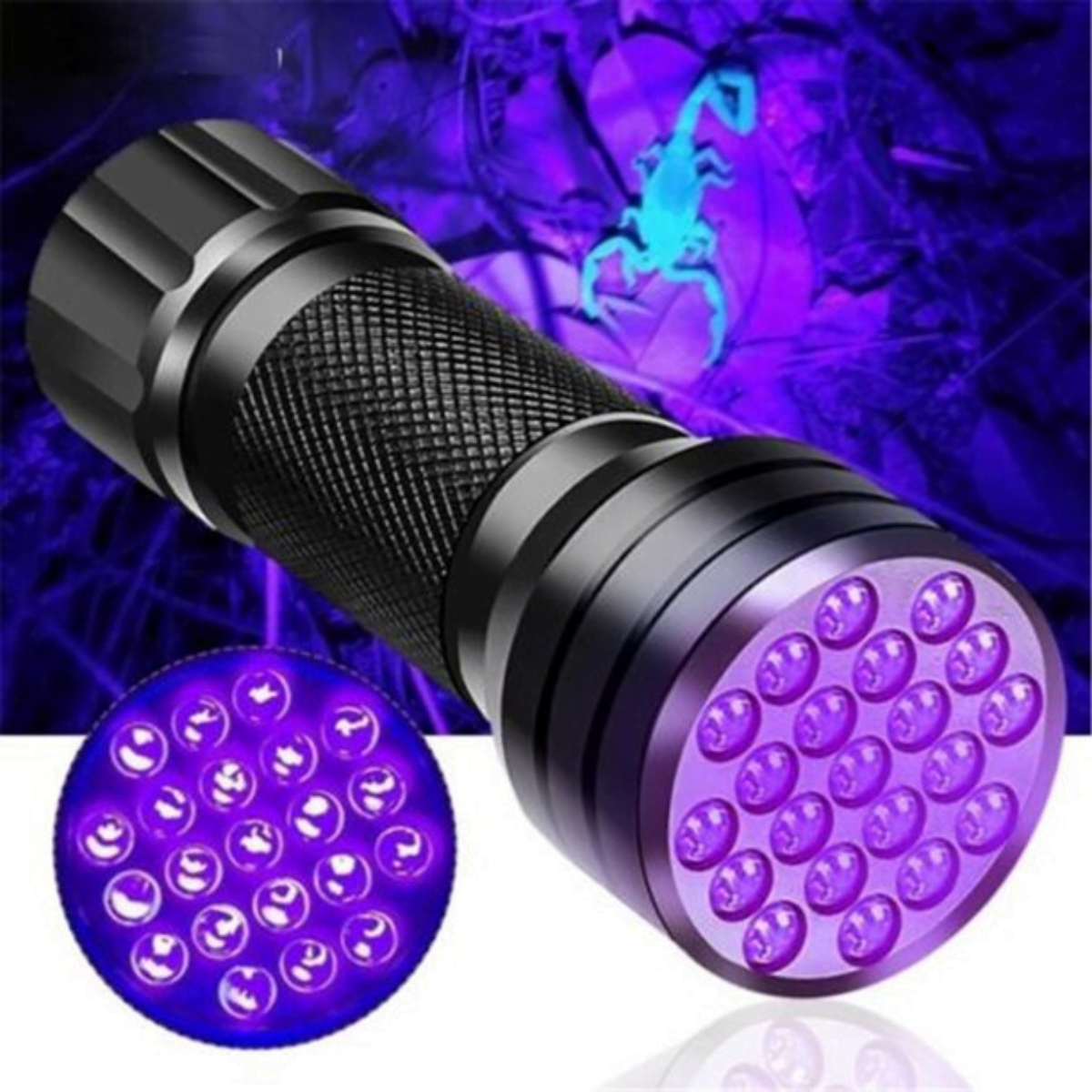 Find Scorpions with the Vansky UV Flashlight Black Light Find Scorpions with the Vansky UV Flashlight Black Light