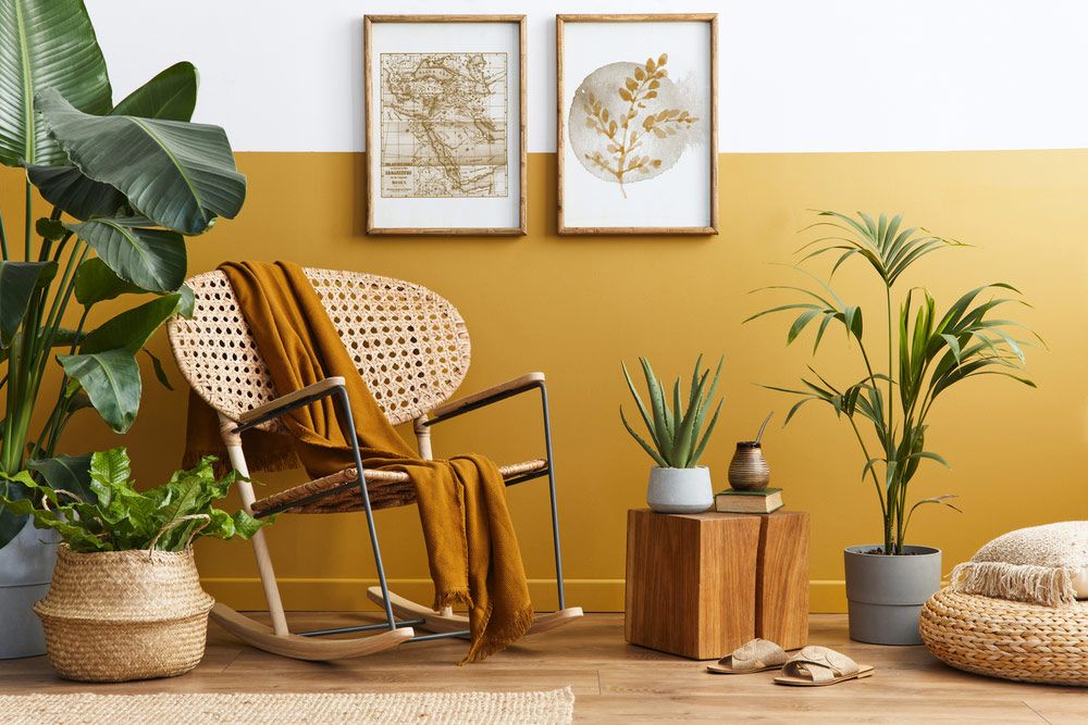 A Living Room with A Rocking Chair, Plants, a Table and A Yellow Wall — The Framer In Taree, NSW