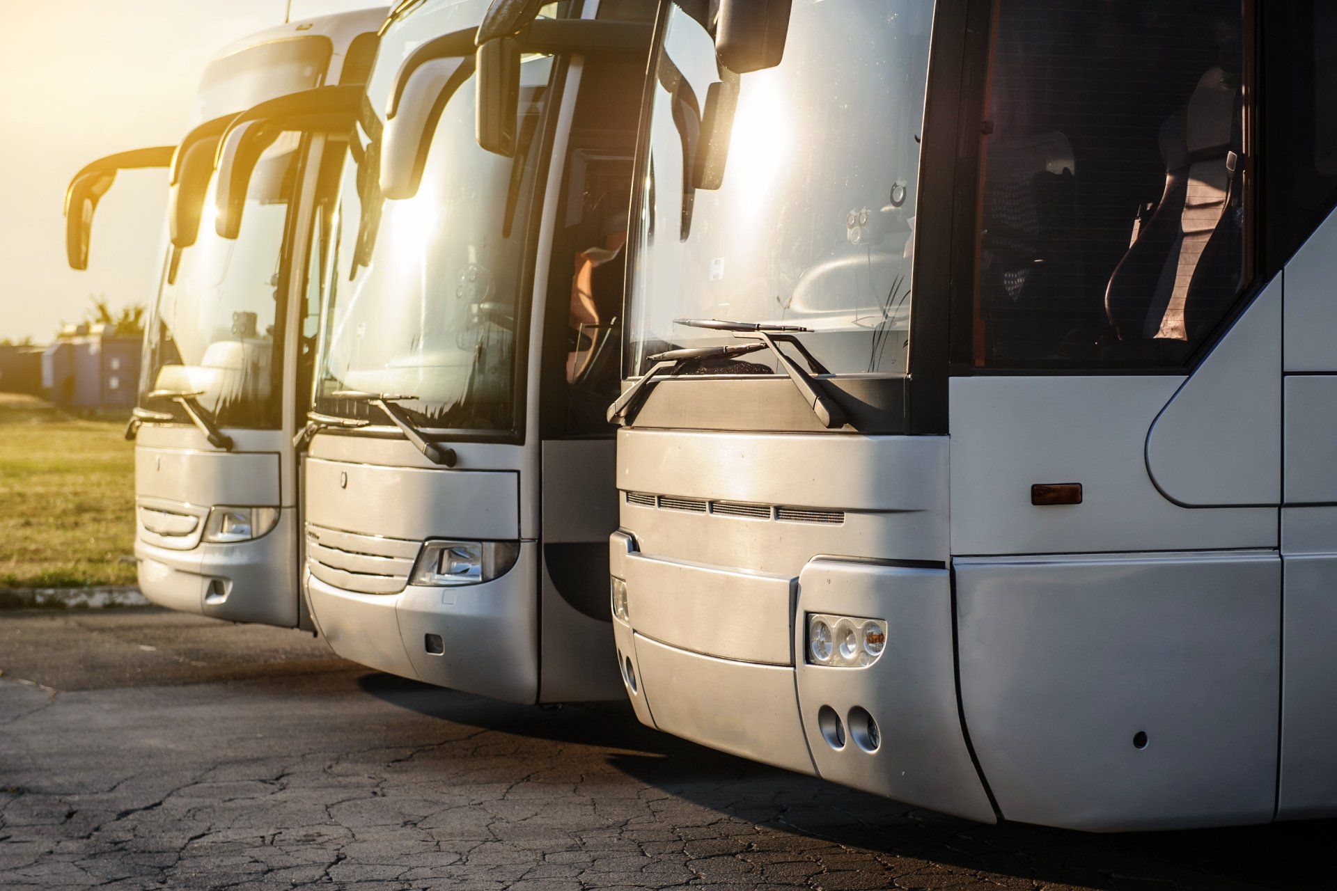 a row of white buses are parked next to each other