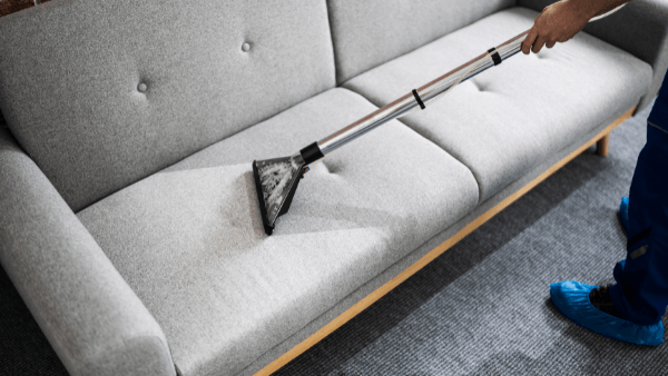Professional Sofa cleaning in Hastings,