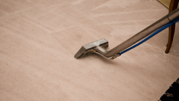 Rug cleaning in Hastings taking place professionally.