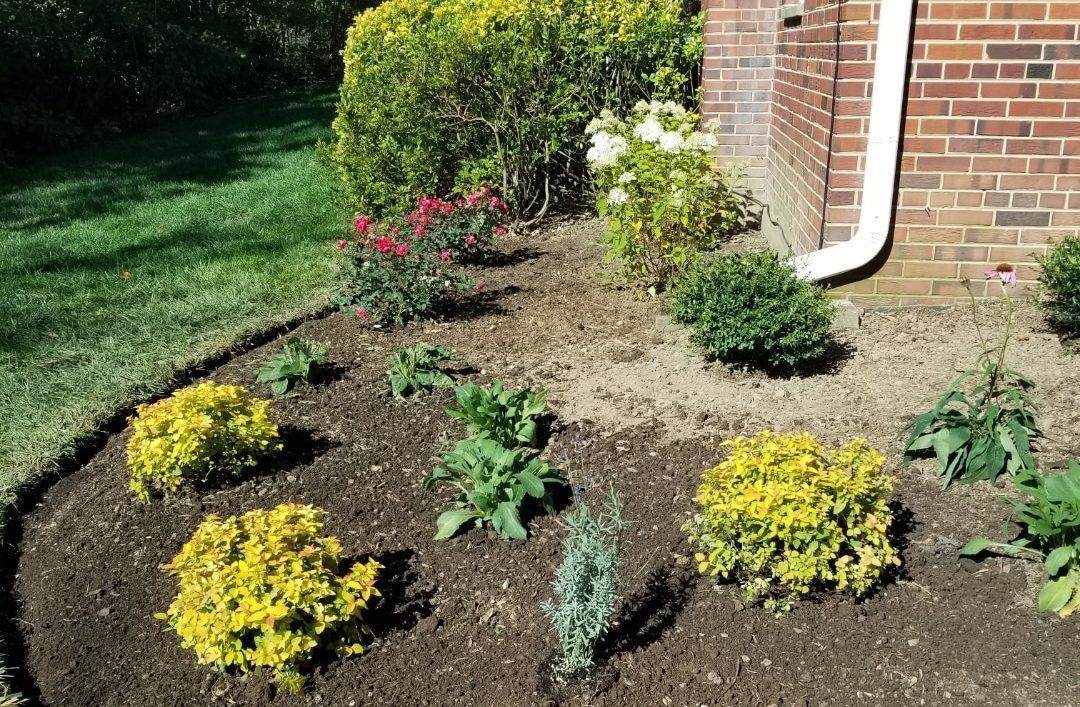 A garden with lots of plants and flowers in front of a brick house.