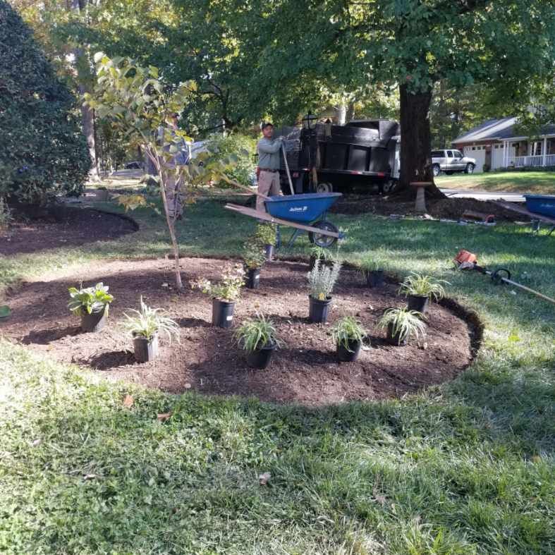 A man is pushing a wheelbarrow full of potted plants in a garden.
