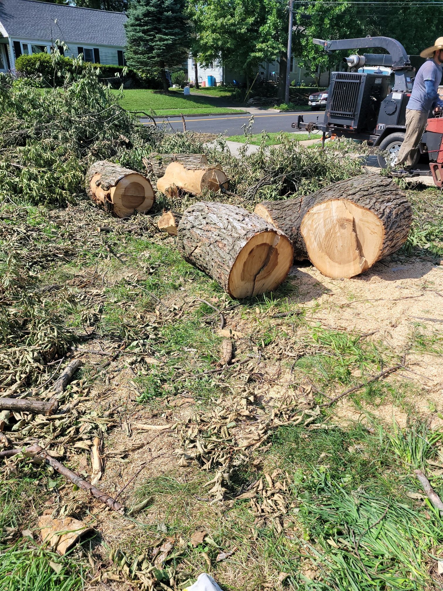A man is standing next to a pile of logs in a yard.