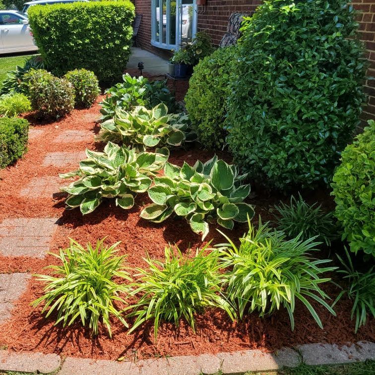A garden with lots of plants and mulch in front of a brick house.