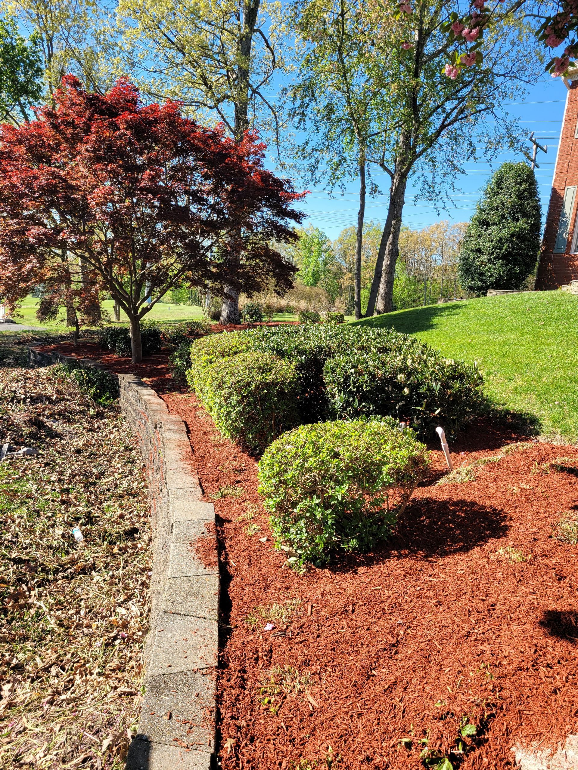 A lush green garden with trees and bushes surrounded by mulch.