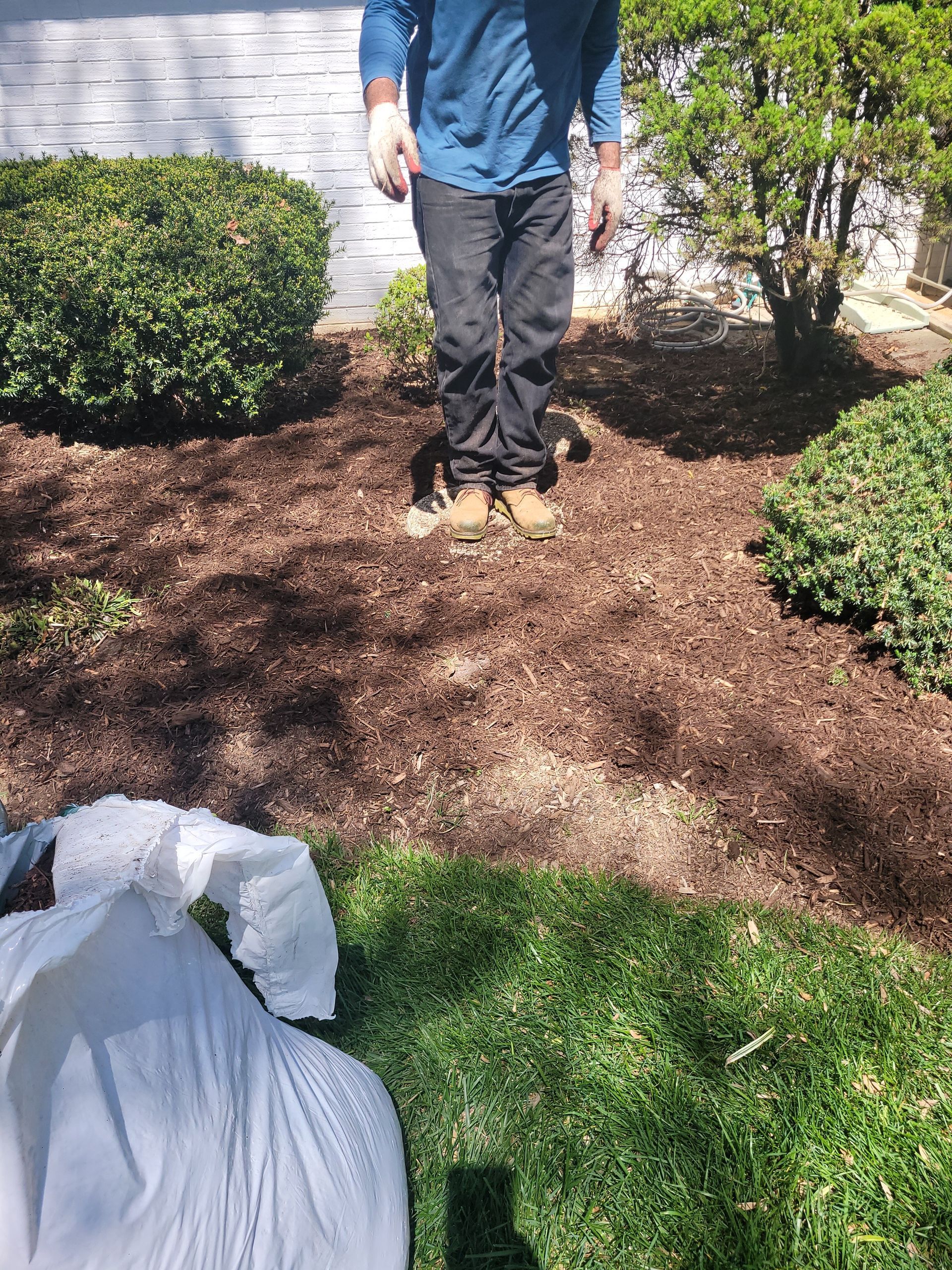 A man is standing on top of a pile of mulch in a yard.