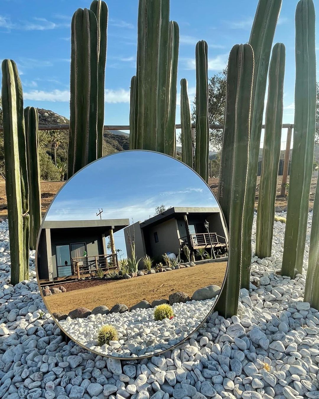 Cactus altos y rocas blancas en un jardín desértico, con un espejo circular que refleja una casa y el cielo azul.