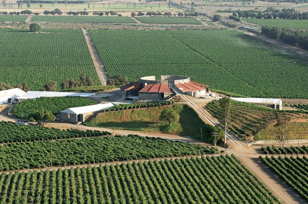 Vista aérea de una granja rodeada de hileras de huertos verdes y caminos de tierra