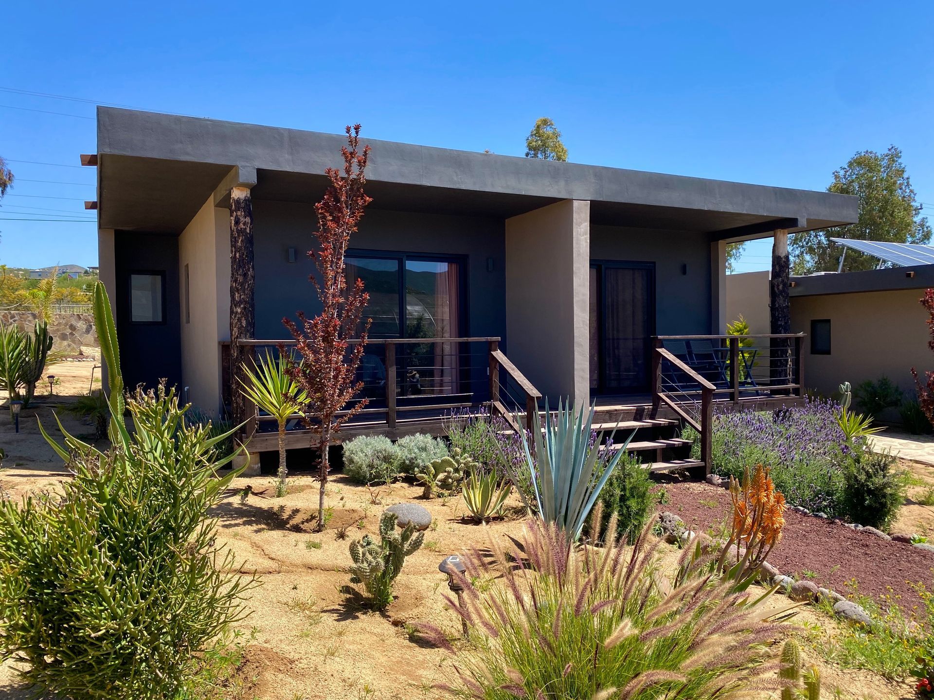Casa moderna de estilo desértico, con un porche cubierto y un jardín con plantas resistentes a la sequía.