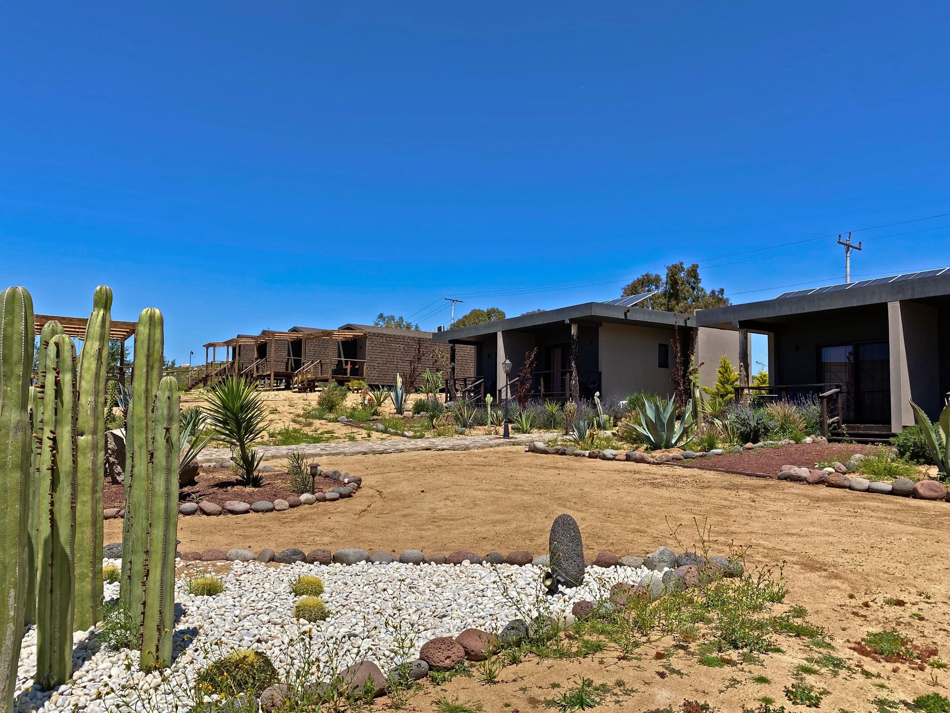 Casa en el desierto con cactus, jardín de grava y un cielo azul despejado