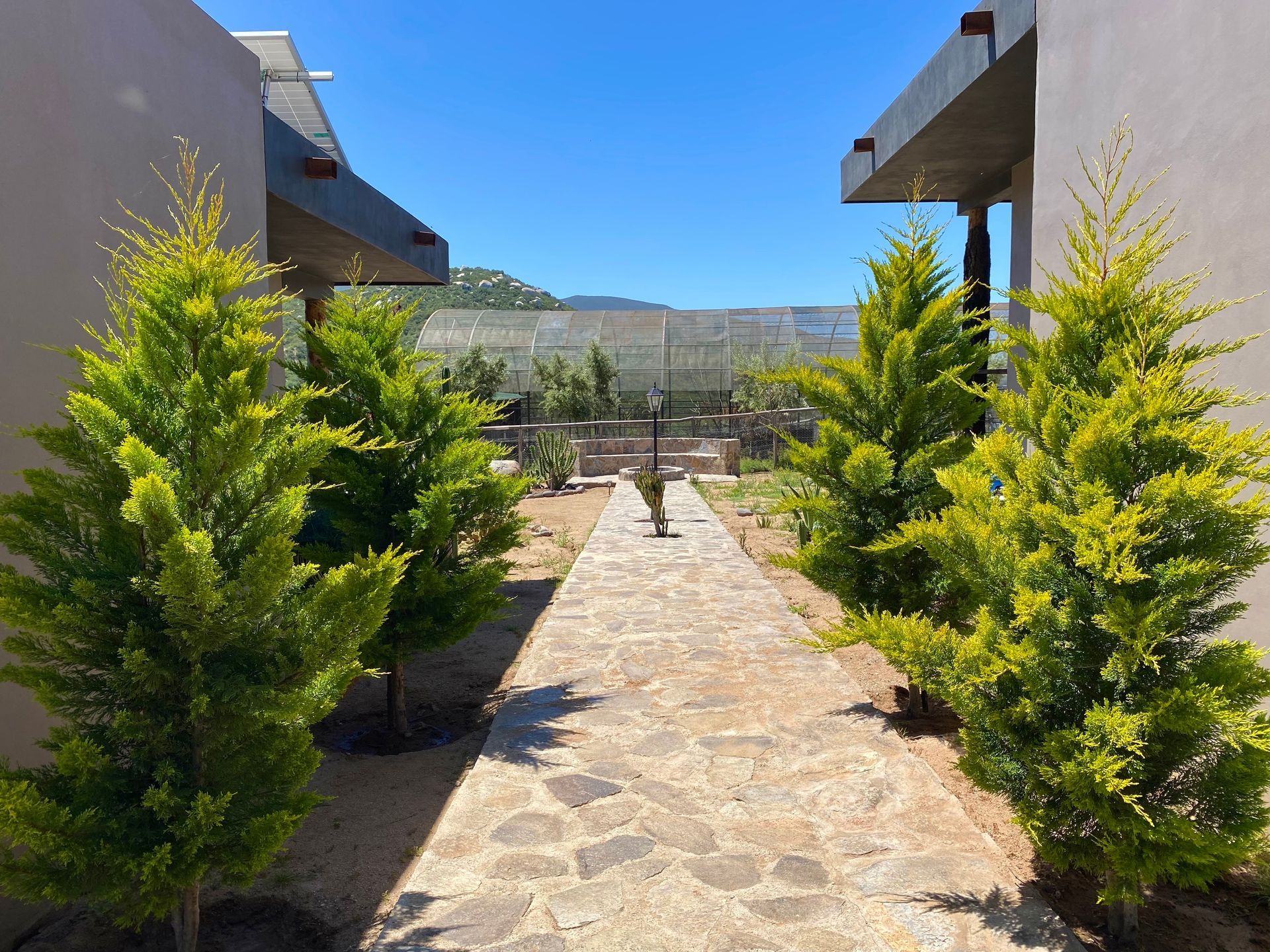 Un sendero de piedra atraviesa un jardín con arbustos verdes, flanqueado por edificios bajo un cielo azul despejado.