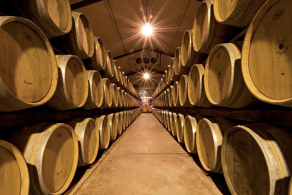 Hileras de barricas de vino de madera en un pasillo de bodega con una cálida iluminación