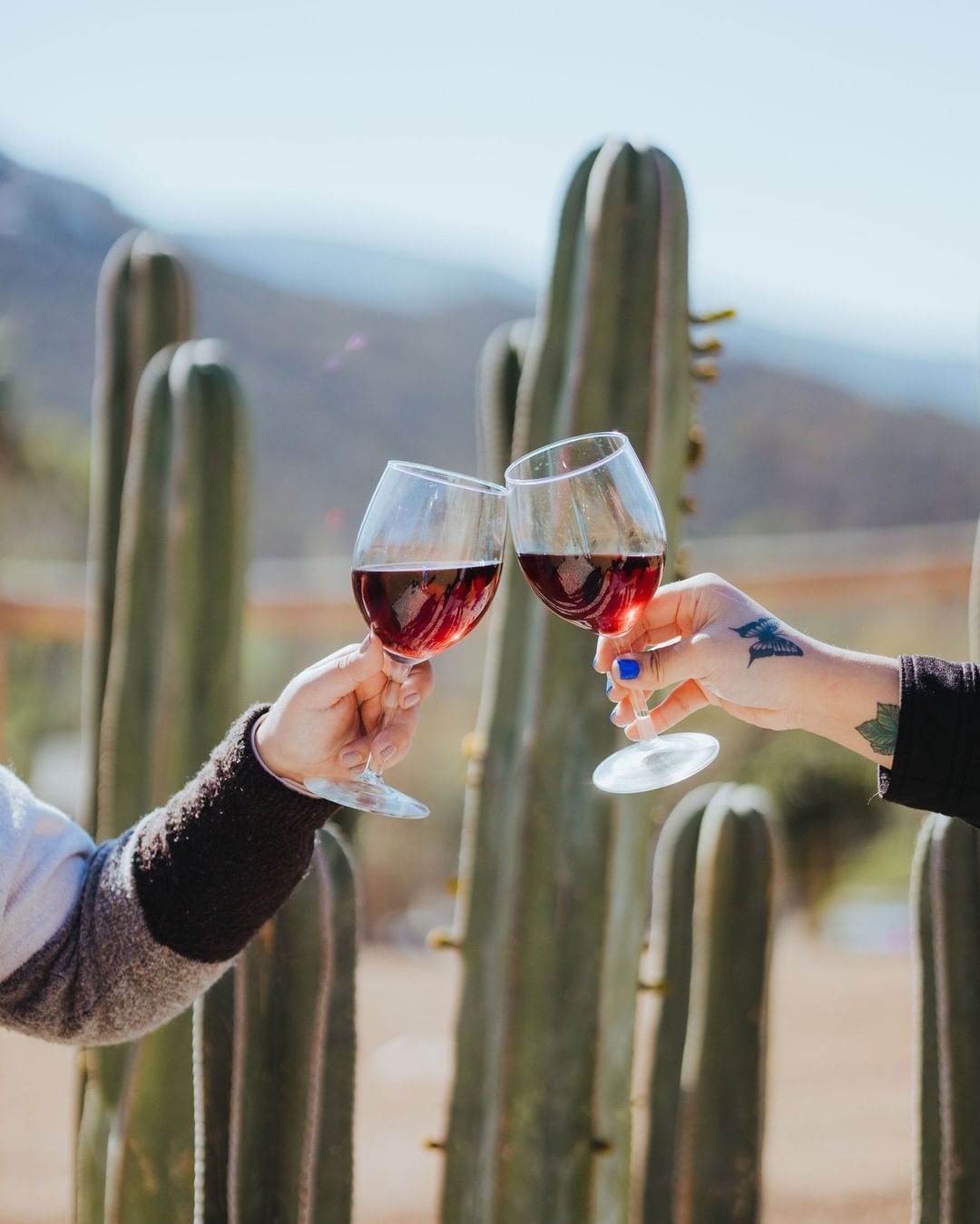 Dos personas brindan con copas de vino frente a cactus altos en un soleado paisaje desértico.