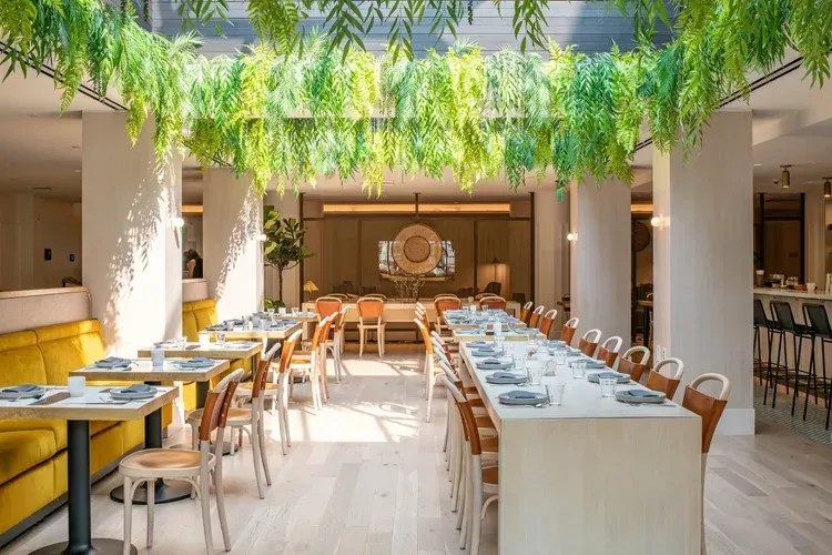 Bright restaurant dining room with hanging greenery, white columns, and neatly set tables