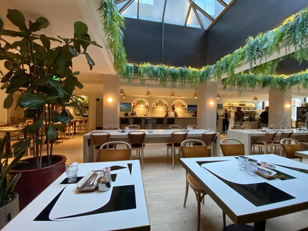 Bright modern restaurant interior with white tables, wood chairs, and a skylit atrium with hanging plants