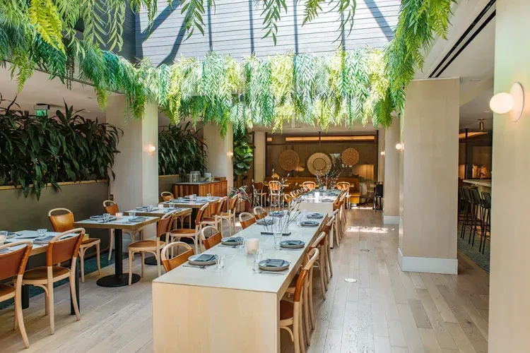 Bright restaurant dining room with wooden tables, teal chairs, and hanging greenery under a skylight