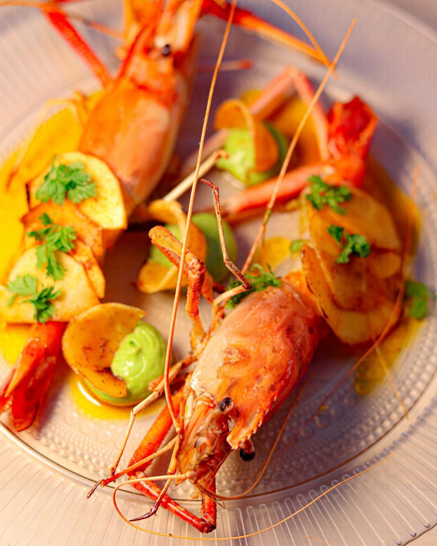 Plated grilled shrimp with lemon slices and herbs on a white dish