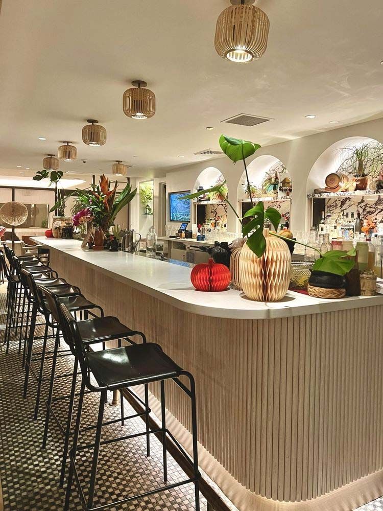 Stylish bar with curved counter, black stools, pendant lights, and tropical plants in a bright cafe