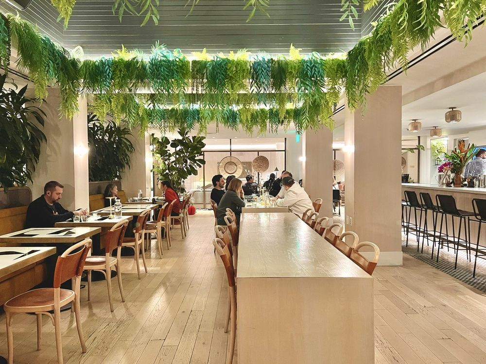 Bright, plant-filled café with wooden tables, long communal counter, and seated patrons