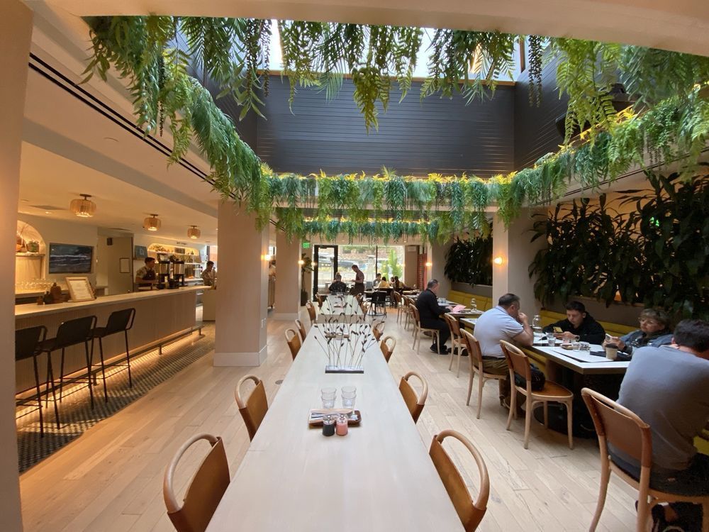 Bright modern restaurant with a long communal table, bar seating, and diners under hanging greenery