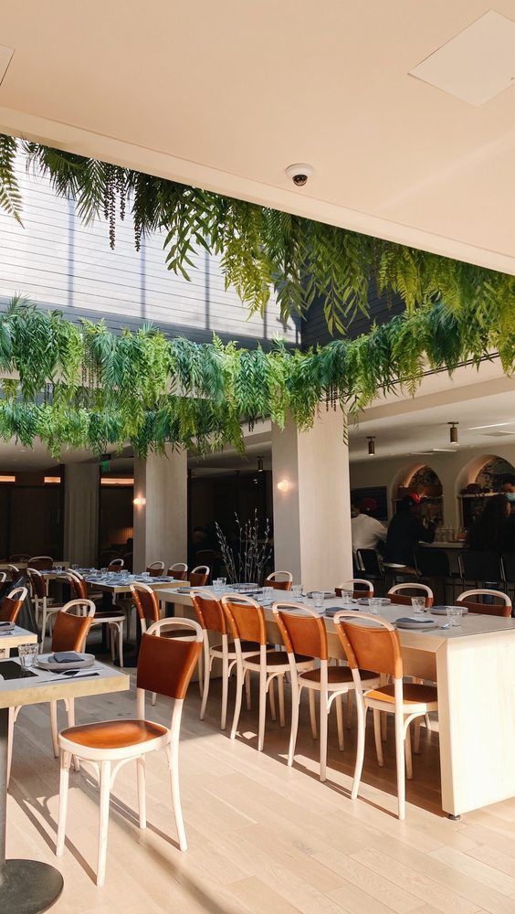 Sunlit café with orange chairs, white tables, and hanging greenery under a modern ceiling