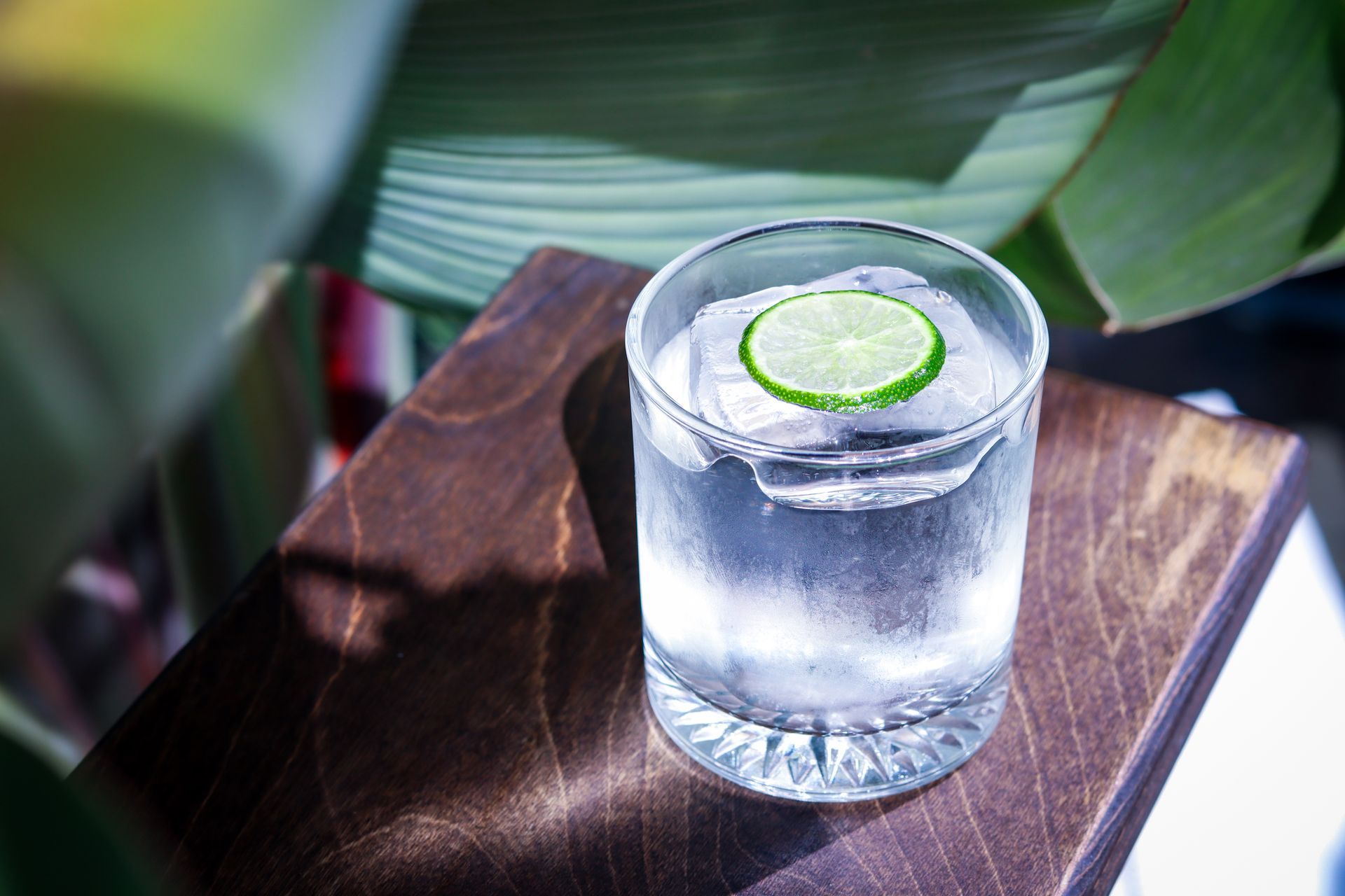Glass of clear drink with a lime slice on a wooden tray near green leaves