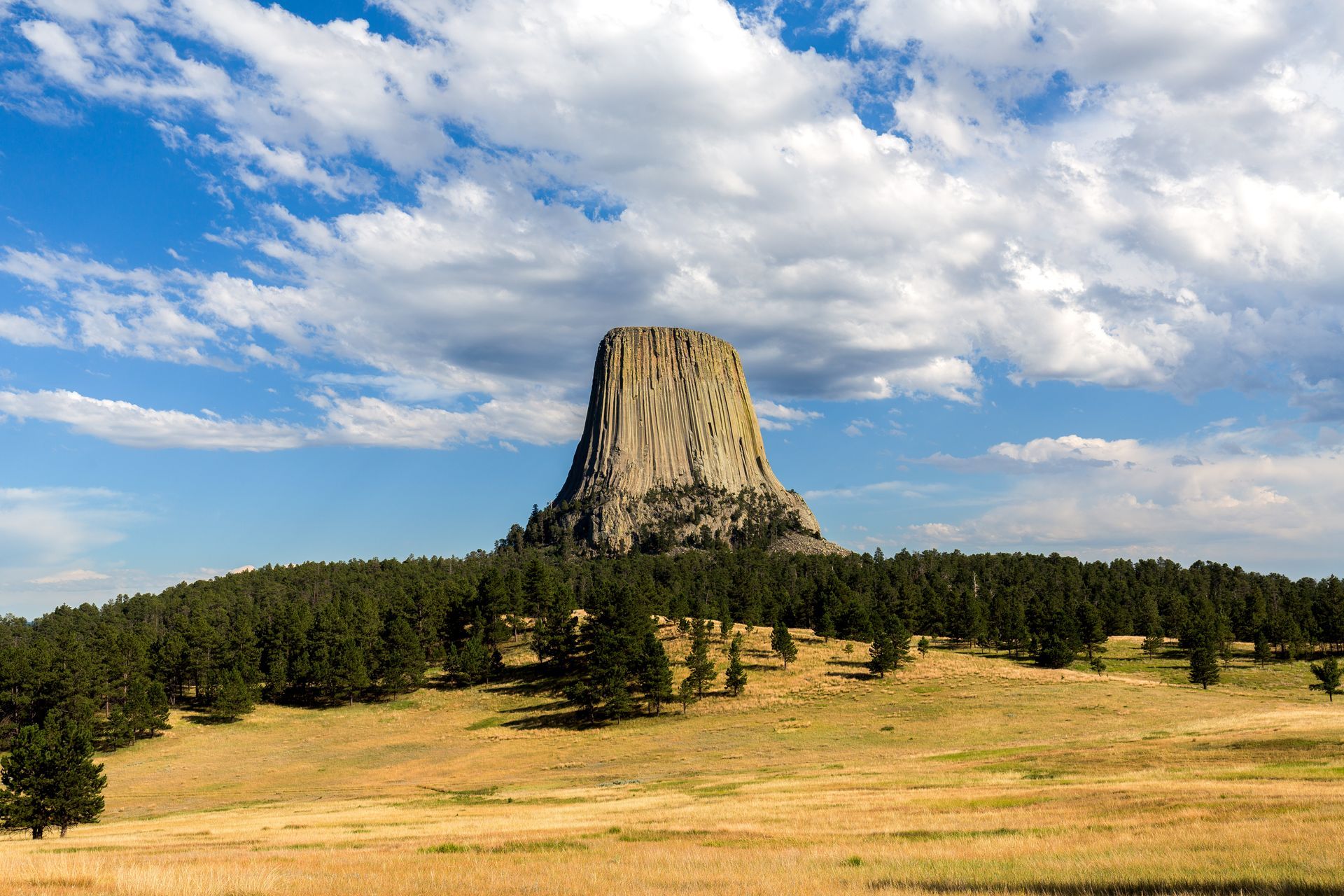 Devils tower is a large rock formation in the middle of a field surrounded by trees.