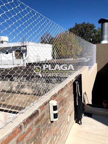 plaga-express