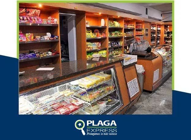 Plaga express