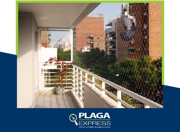 PLAGA EXPRESS
