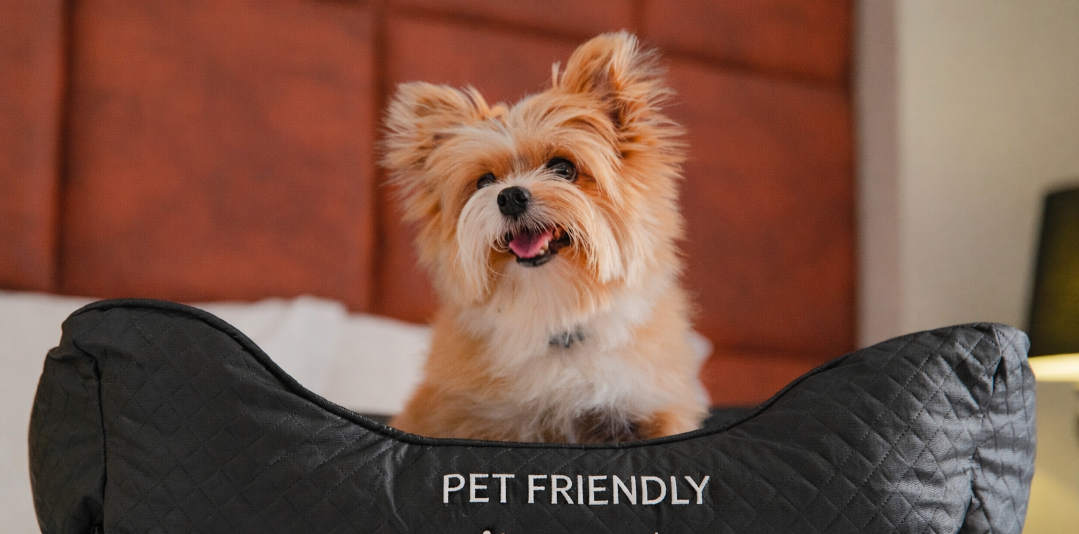 Your pet is also our guest.