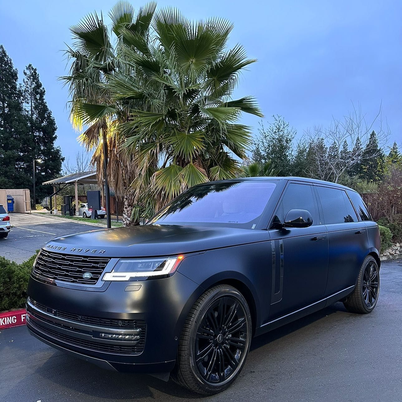 A black range rover is parked in a parking lot with palm trees in the background.