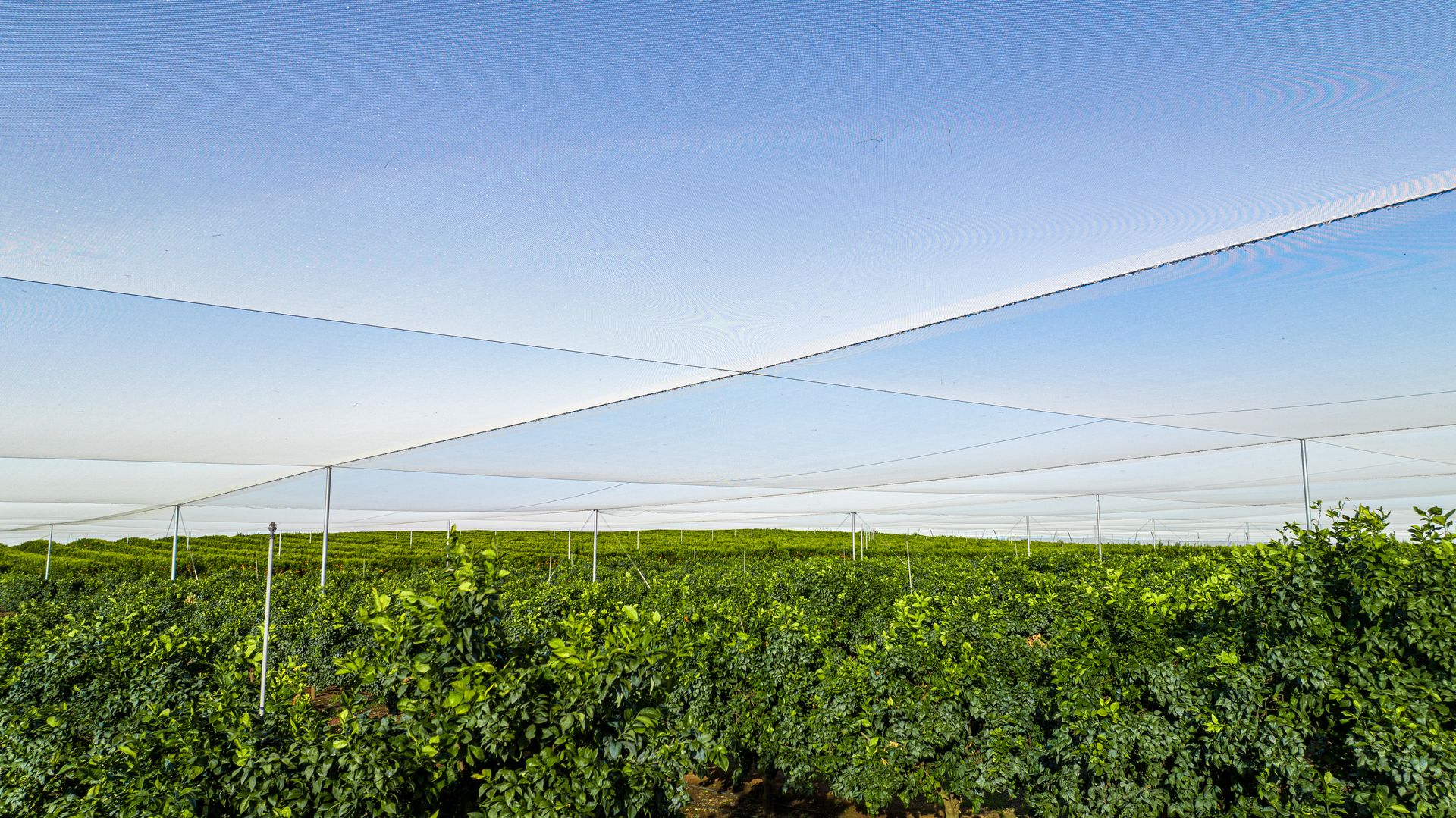 Engineering the future of crop protection