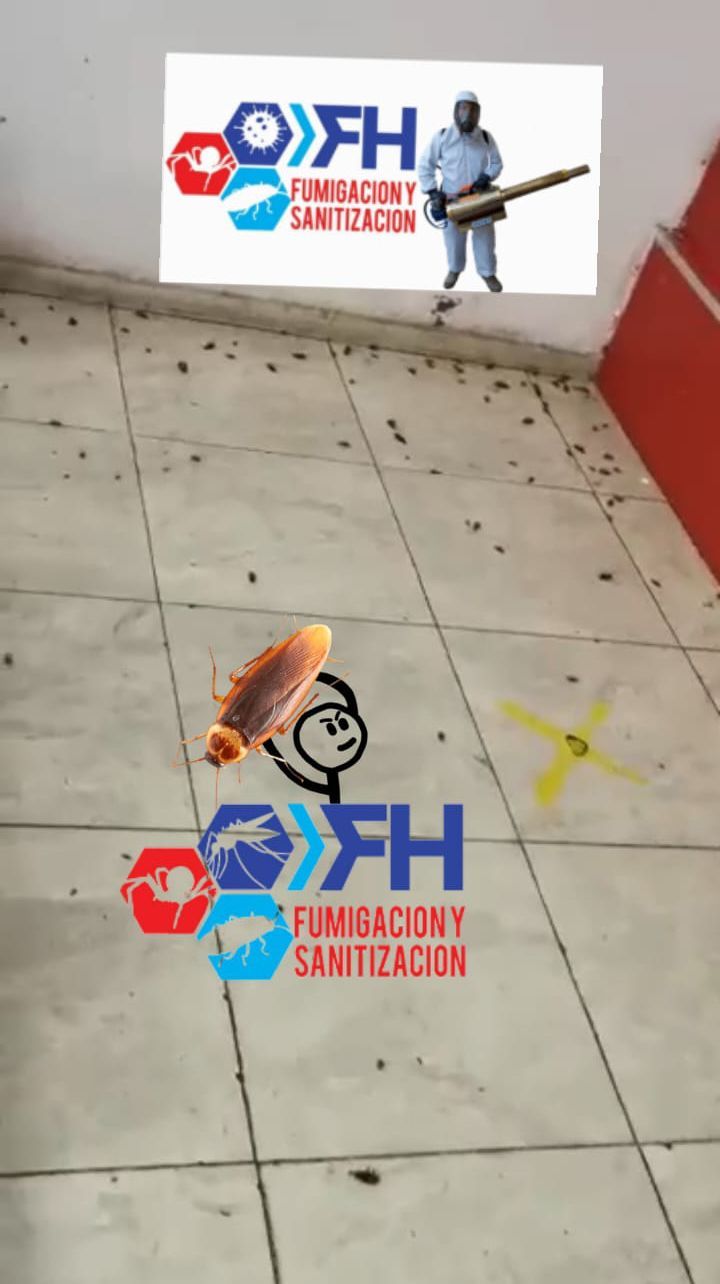 FH FUMIGACIONES