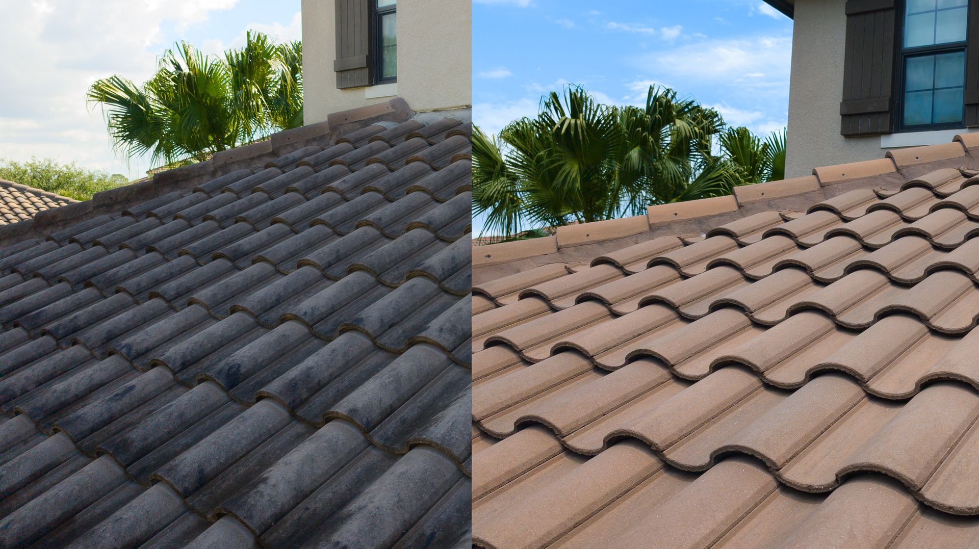 Person washing roof