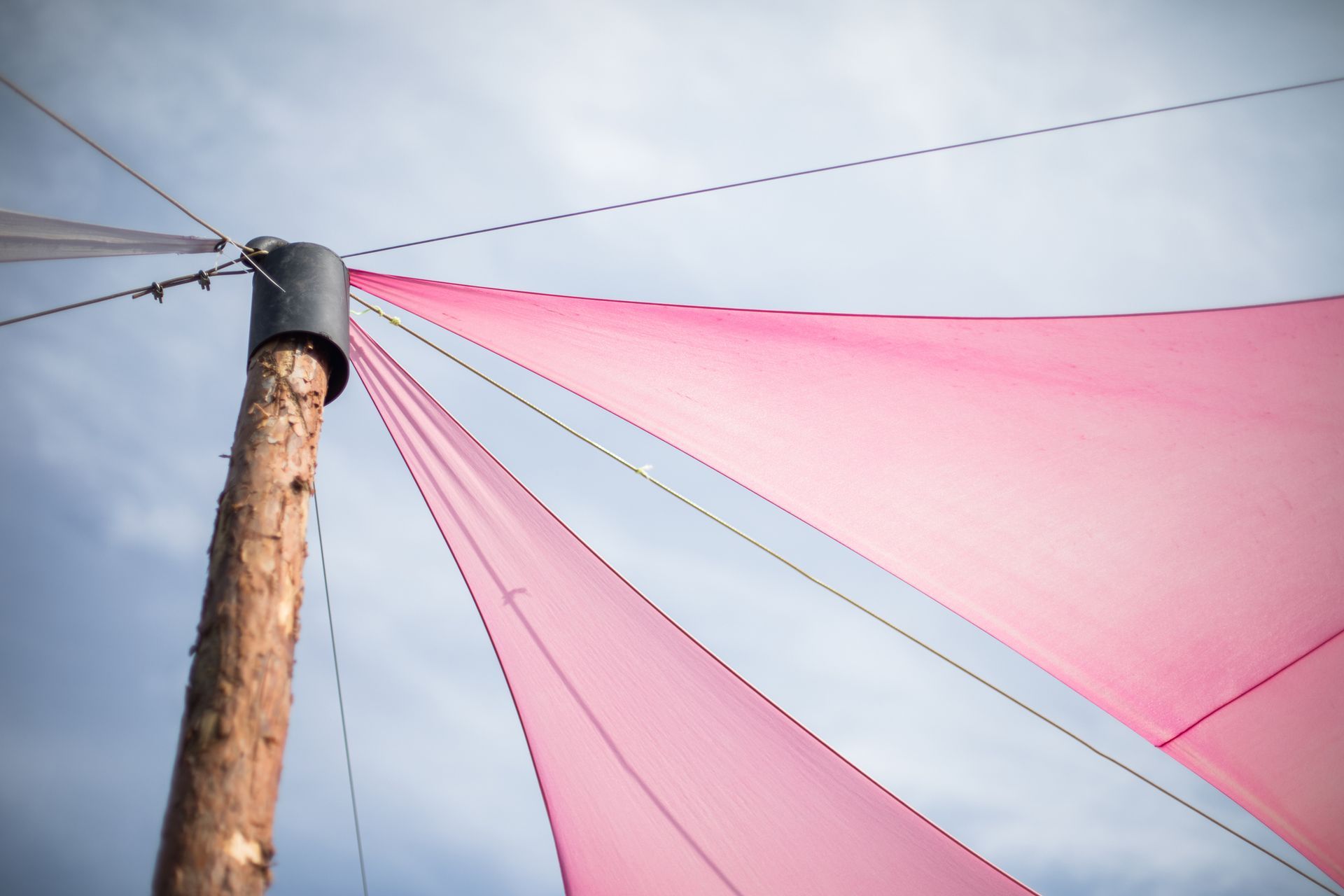 Pink shade sails