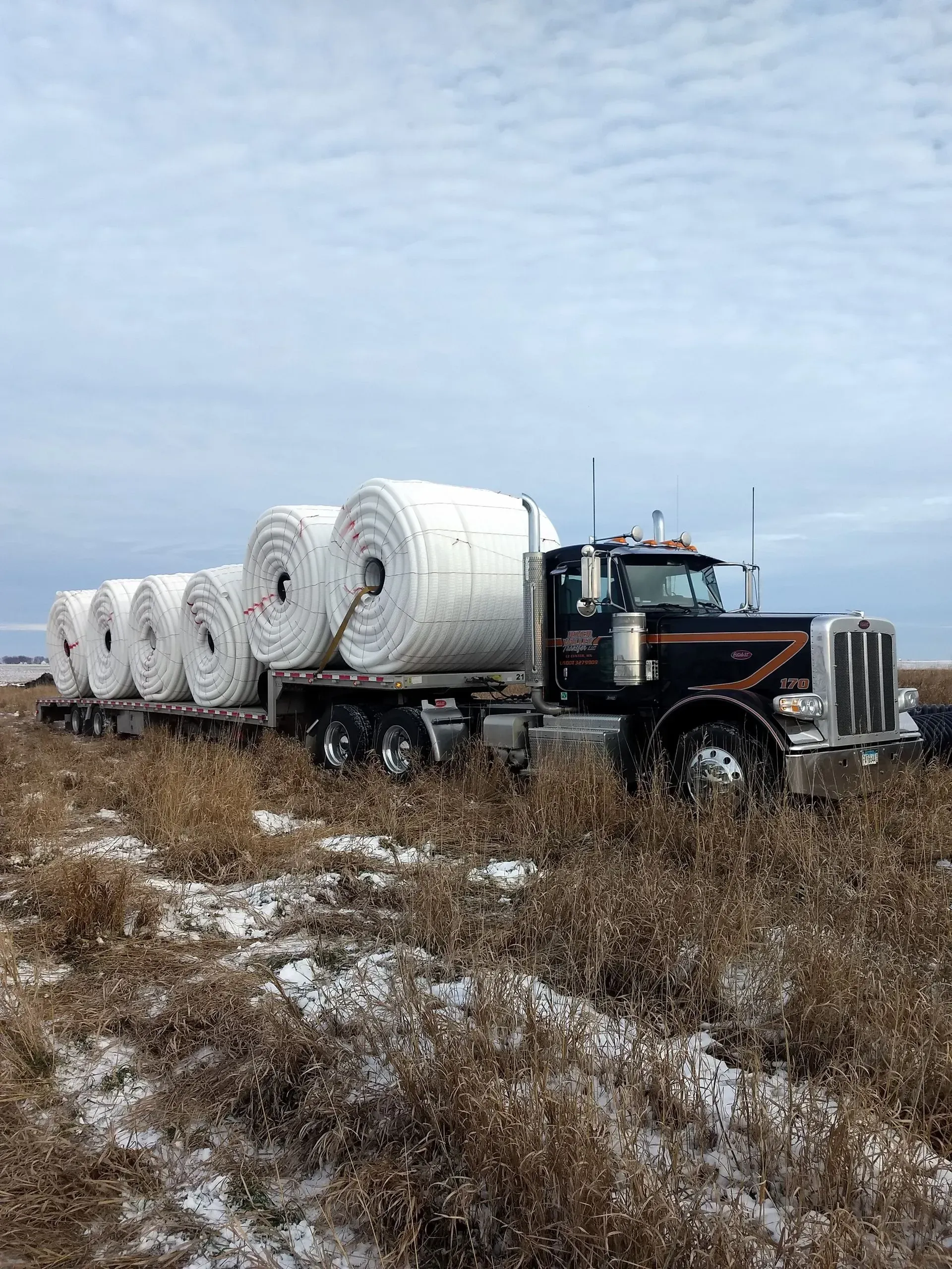 A black semi-truck hauls large, white cylindrical bales across a field covered in patchy snow and dry vegetation.