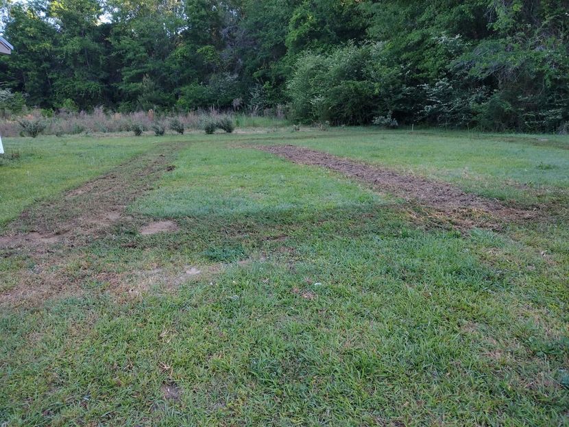 Grassy field with two muddy tire tracks leading toward a tree line