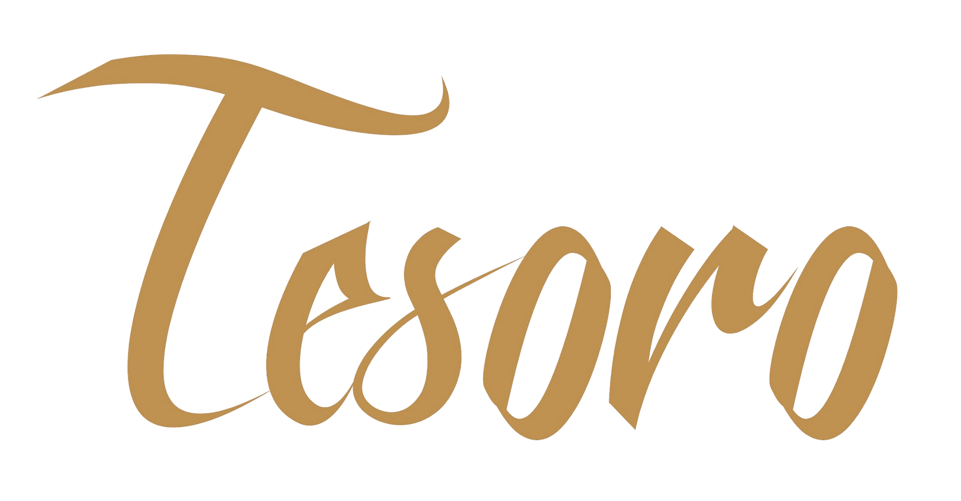 tesoro stainless steel pool and spa