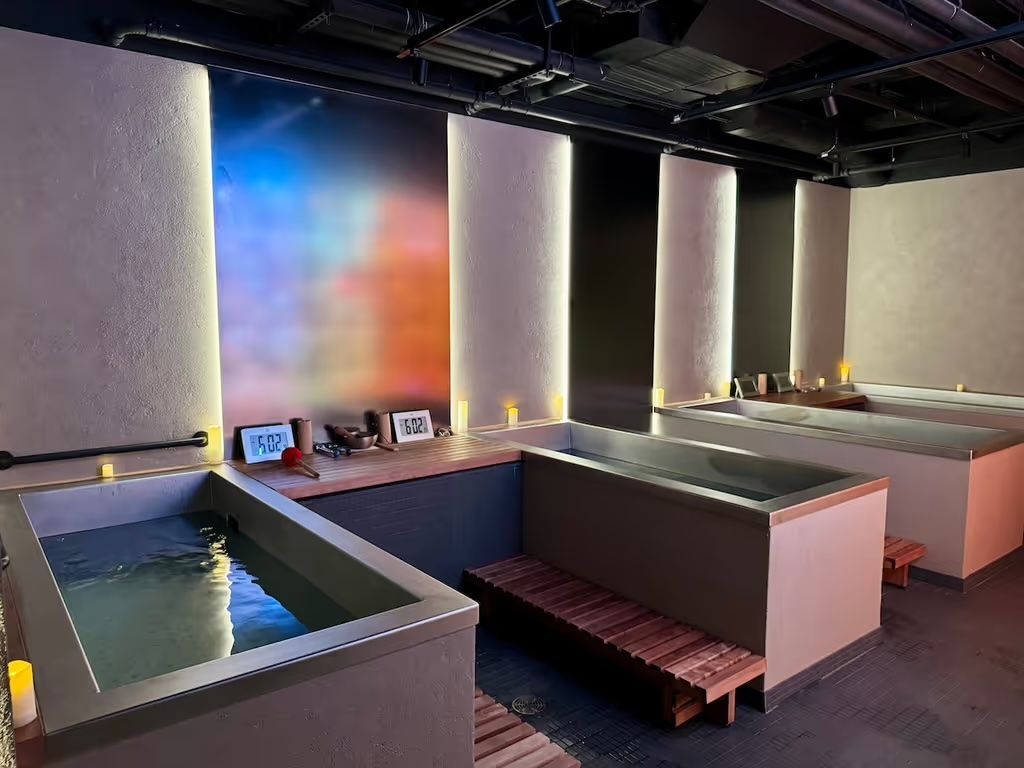 stainless steel plunge pool commercial use