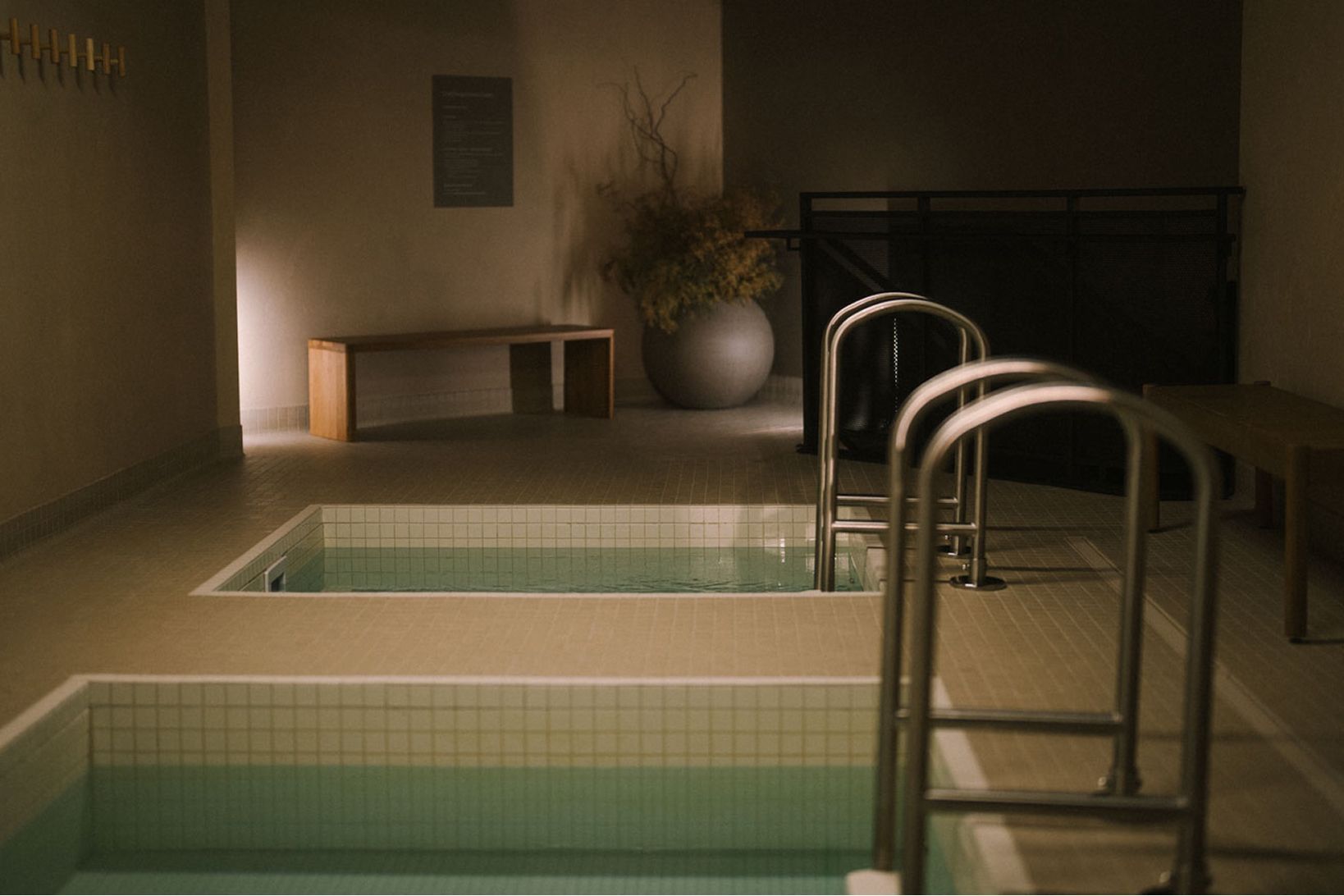 stainless steel plunge pool commercial use