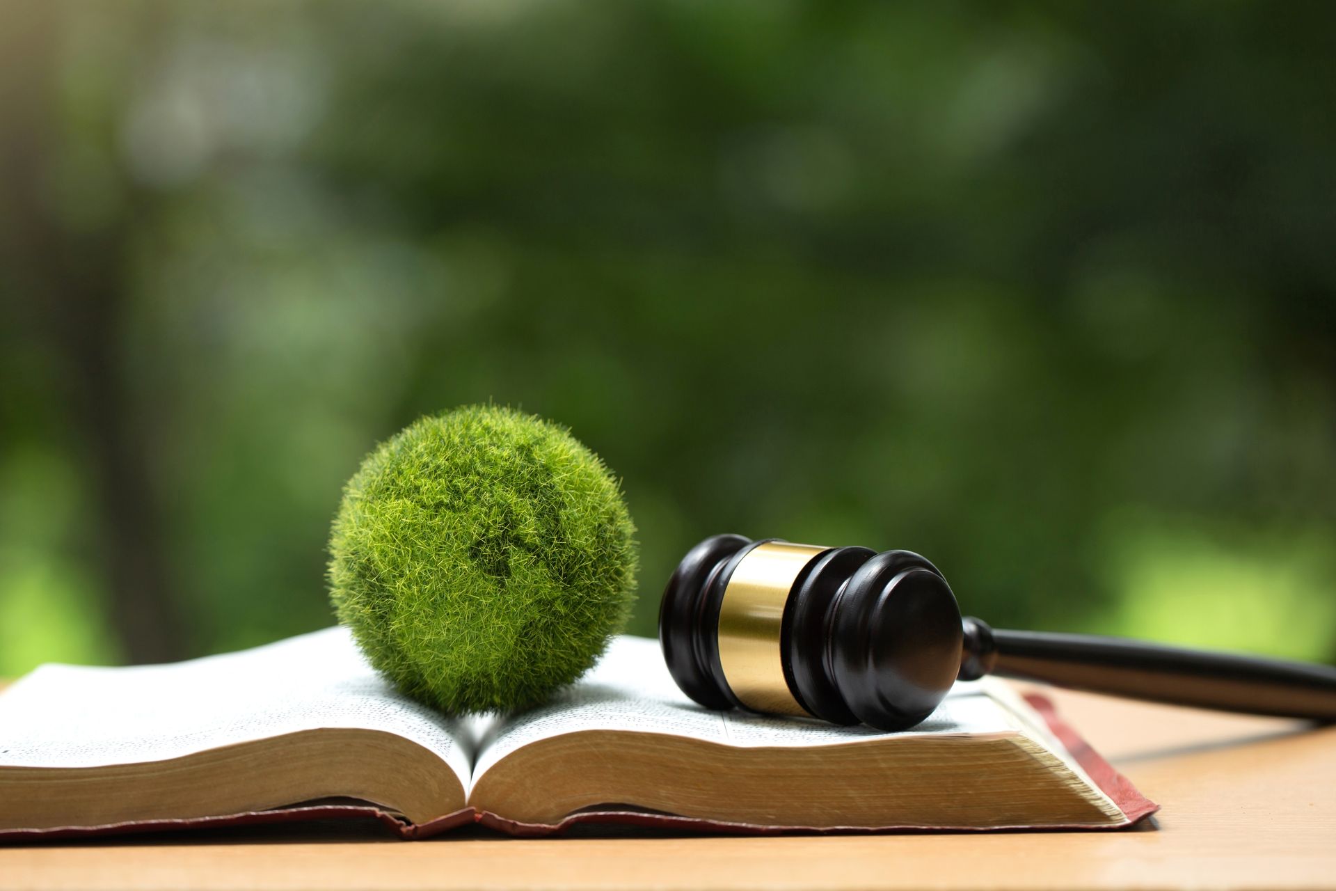 Open book with a green moss-covered ball and gavel against a blurred green background.