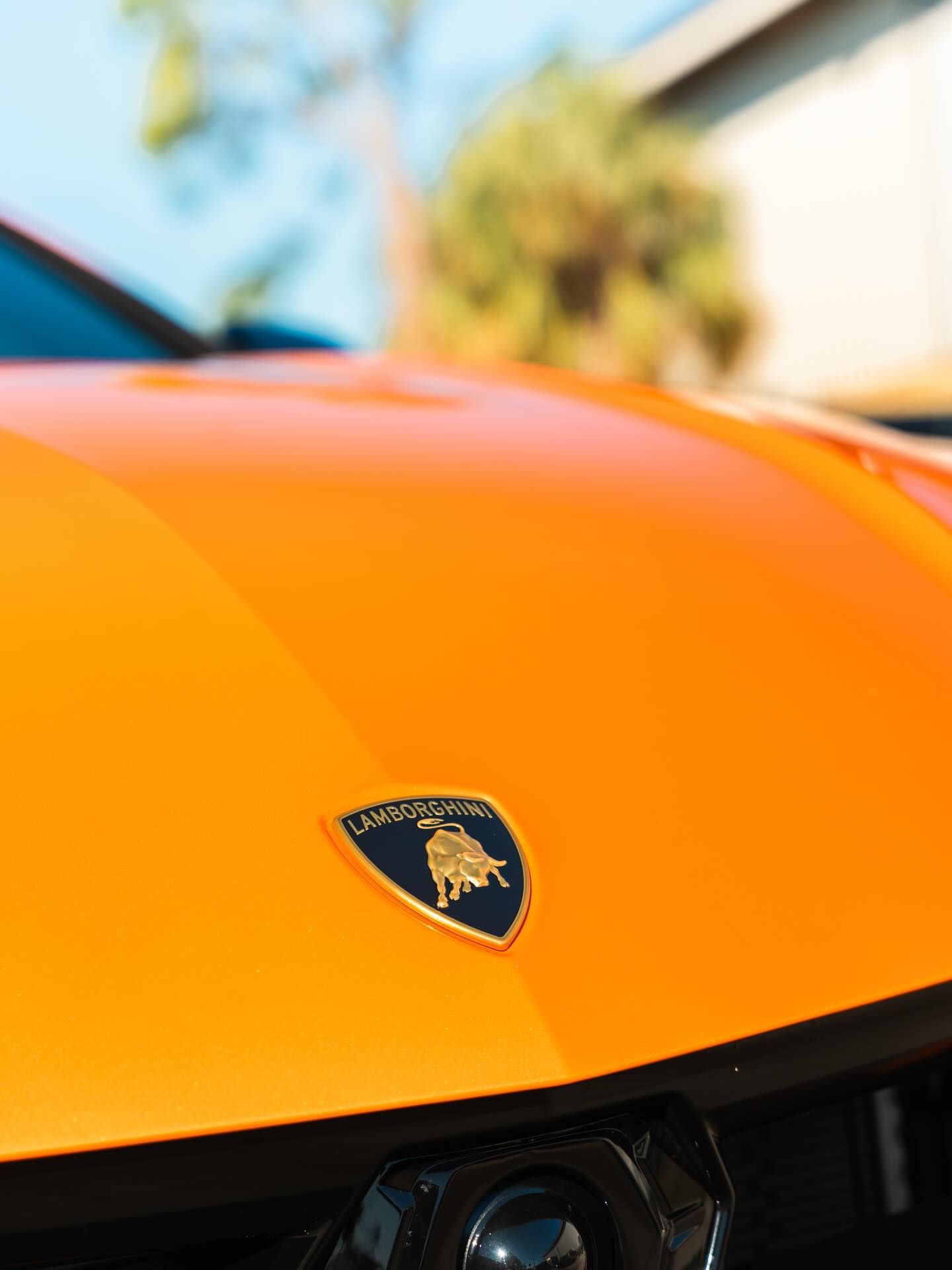 Close-up of an orange Lamborghini hood with the gold emblem visible