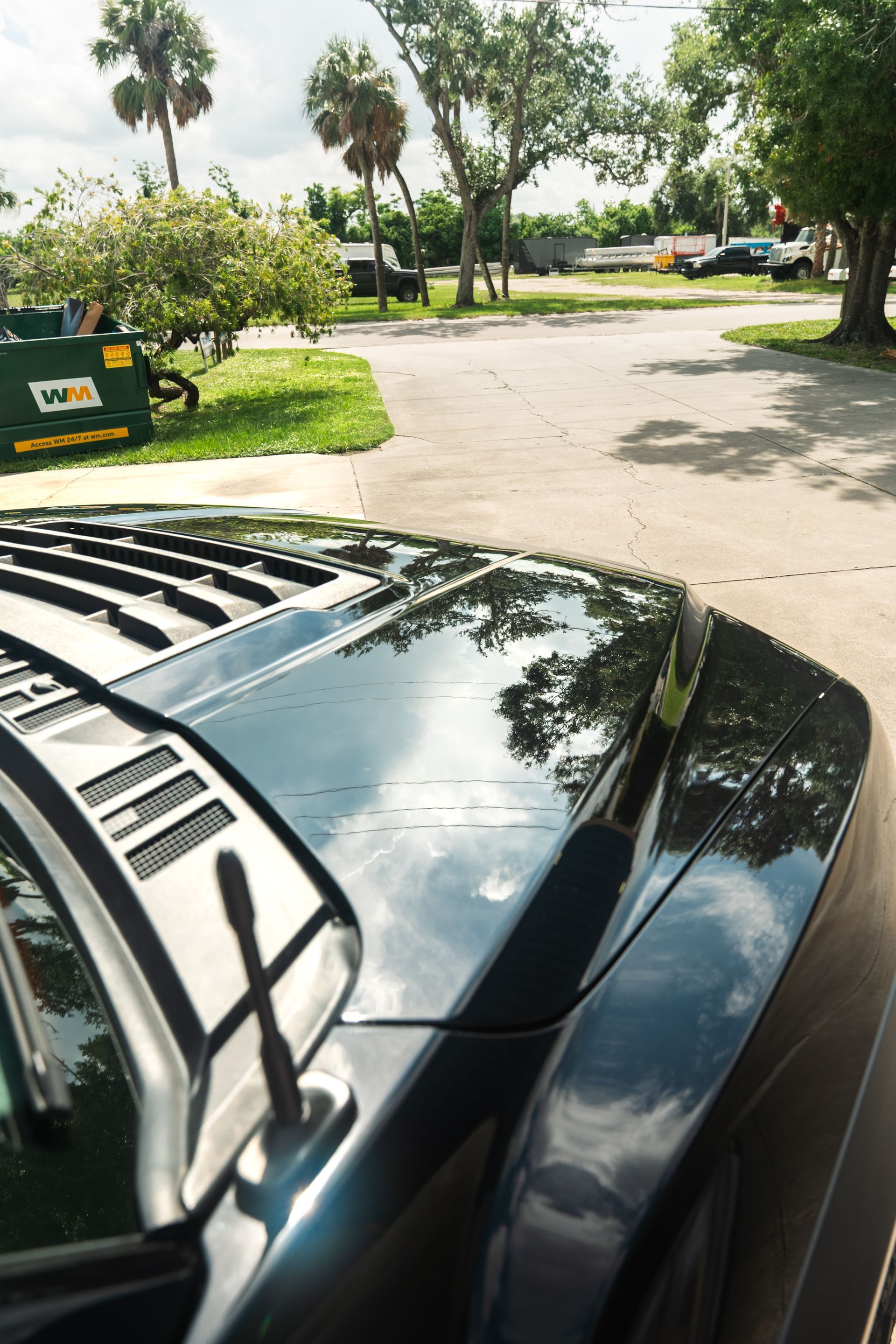 Black car hood in foreground on a sunny driveway with trees and parking area ahead