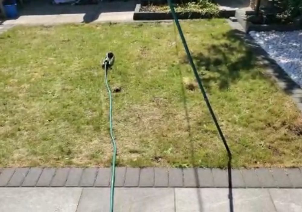 Garden before installing 47 square metres of fake grass