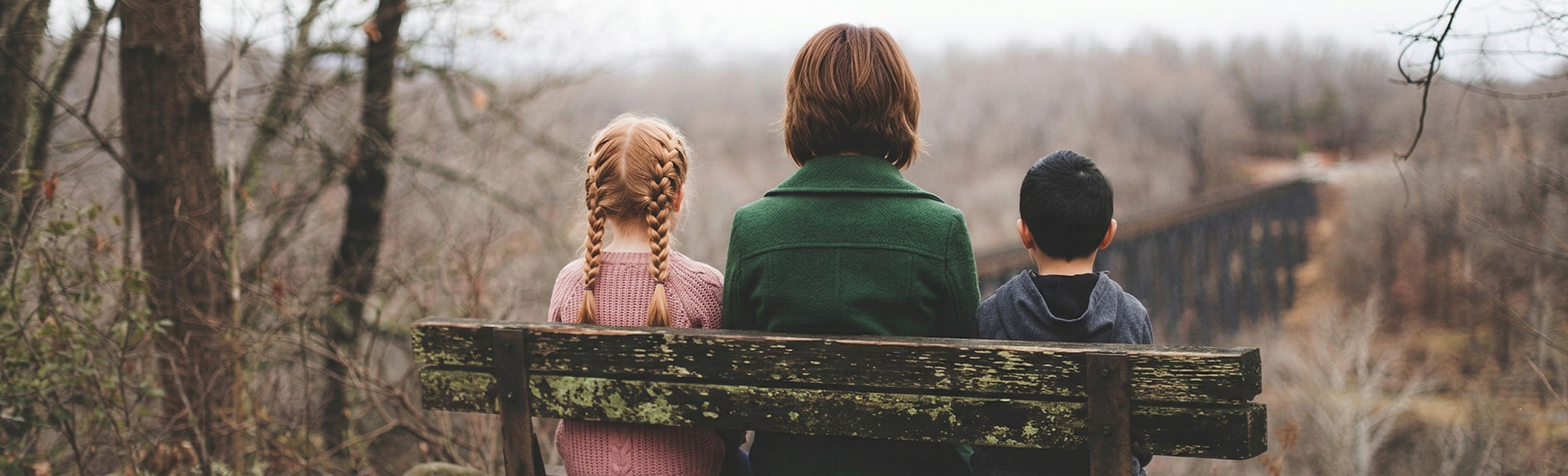 Three people sit on a wooden bench, backs to the camera, overlooking a wooded landscape and a distant bridge.
