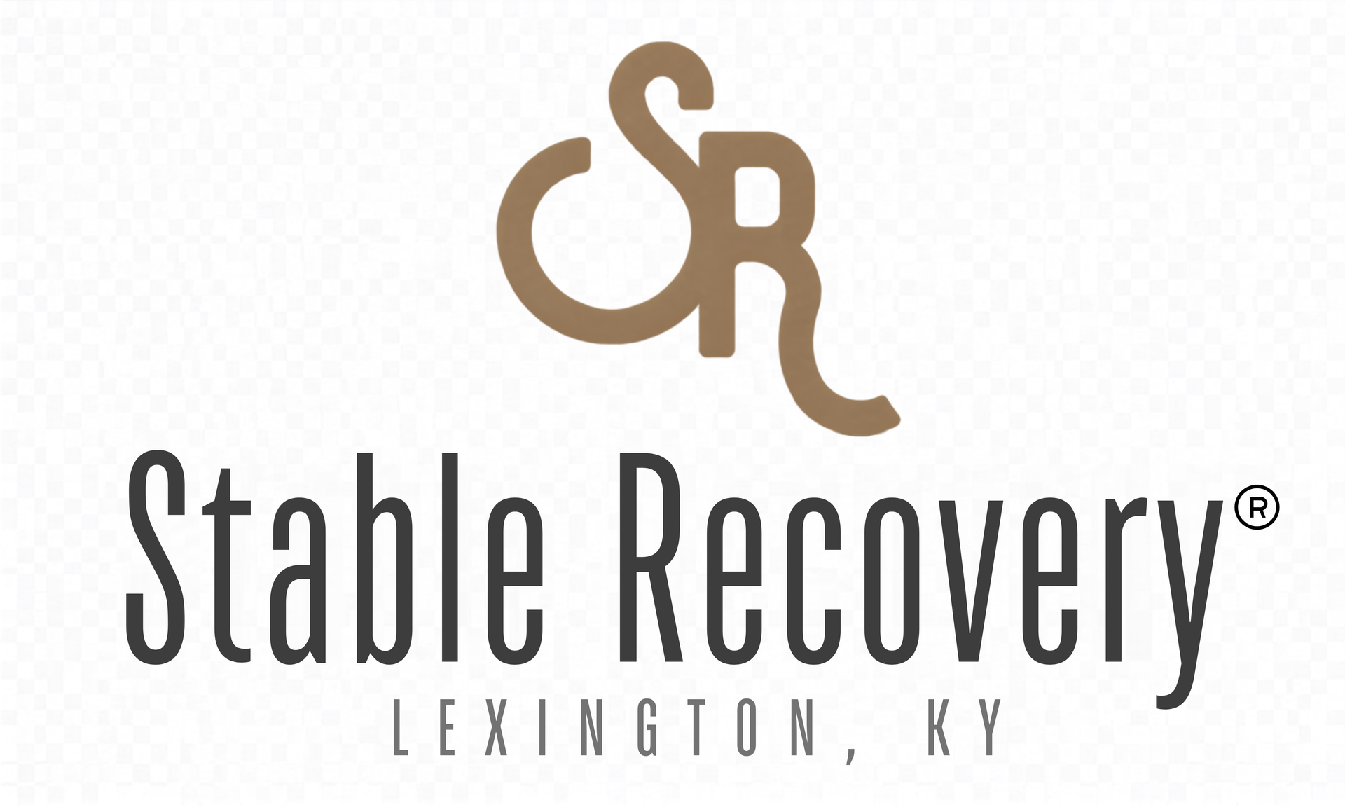 A logo for stable recovery is shown on a white background.