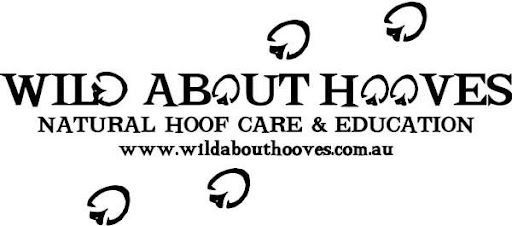 wild about hooves