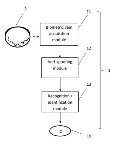 Organigramme d'un système de reconnaissance biométrique des veines avec modules d'acquisition, d'anti-usurpation et d'identification.